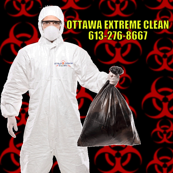 Hamilton Extreme cleaning services