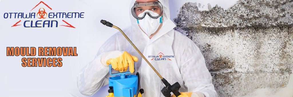 Mould removal Kitchener Waterloo Ontario