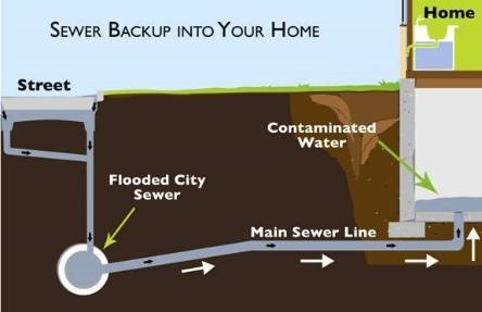 sewer backup Hamilton